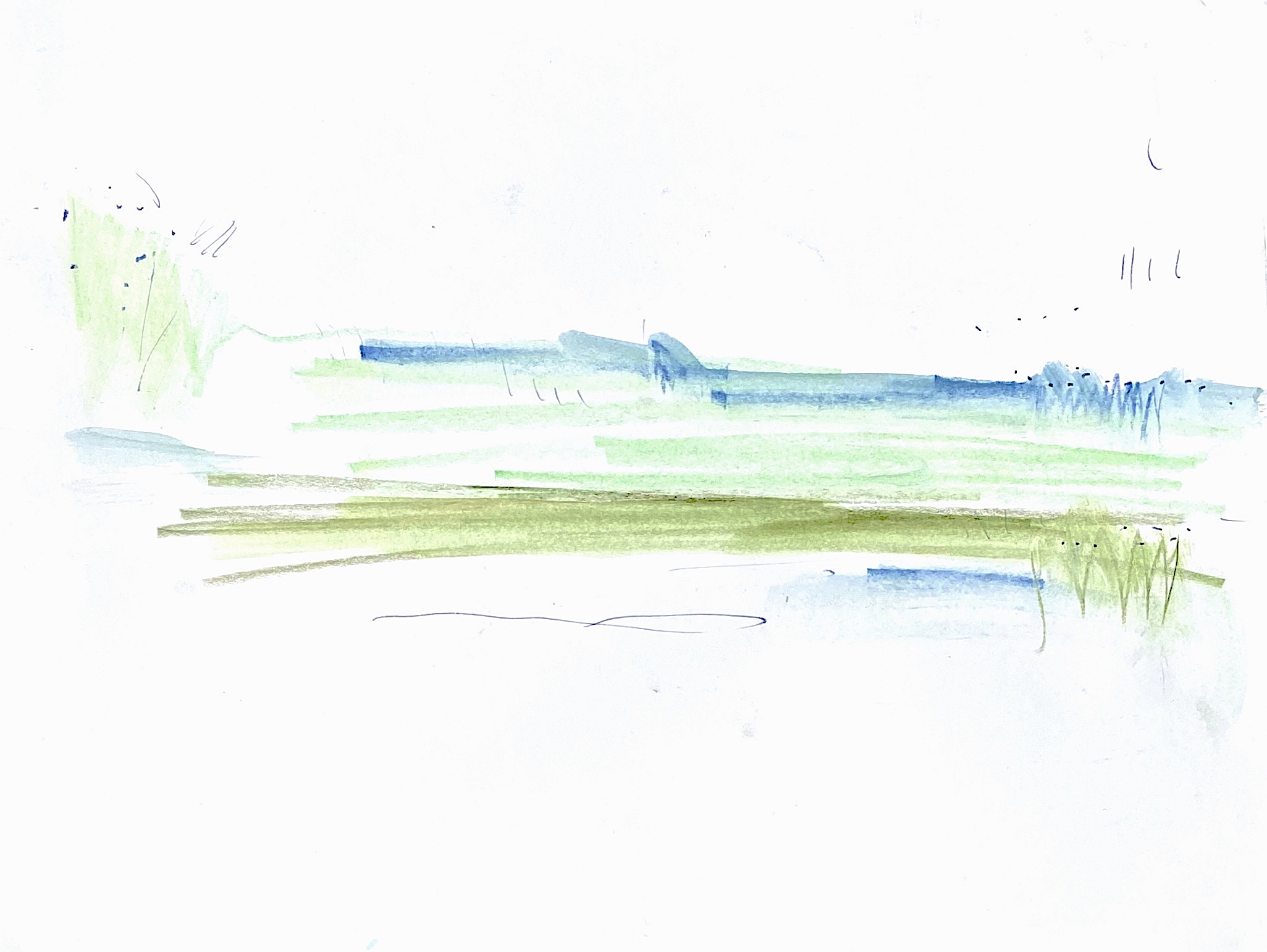 wetland
