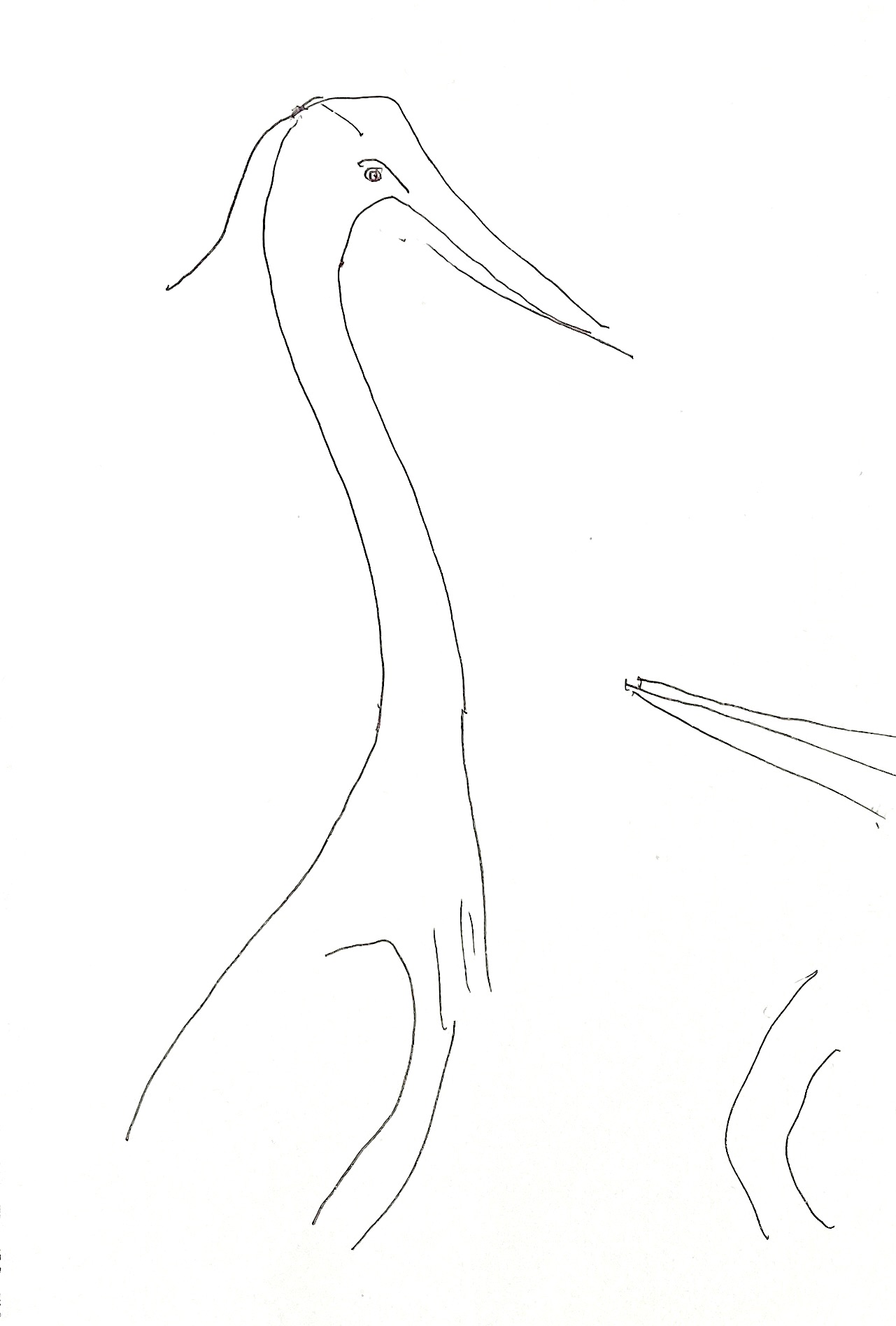 white birds 2