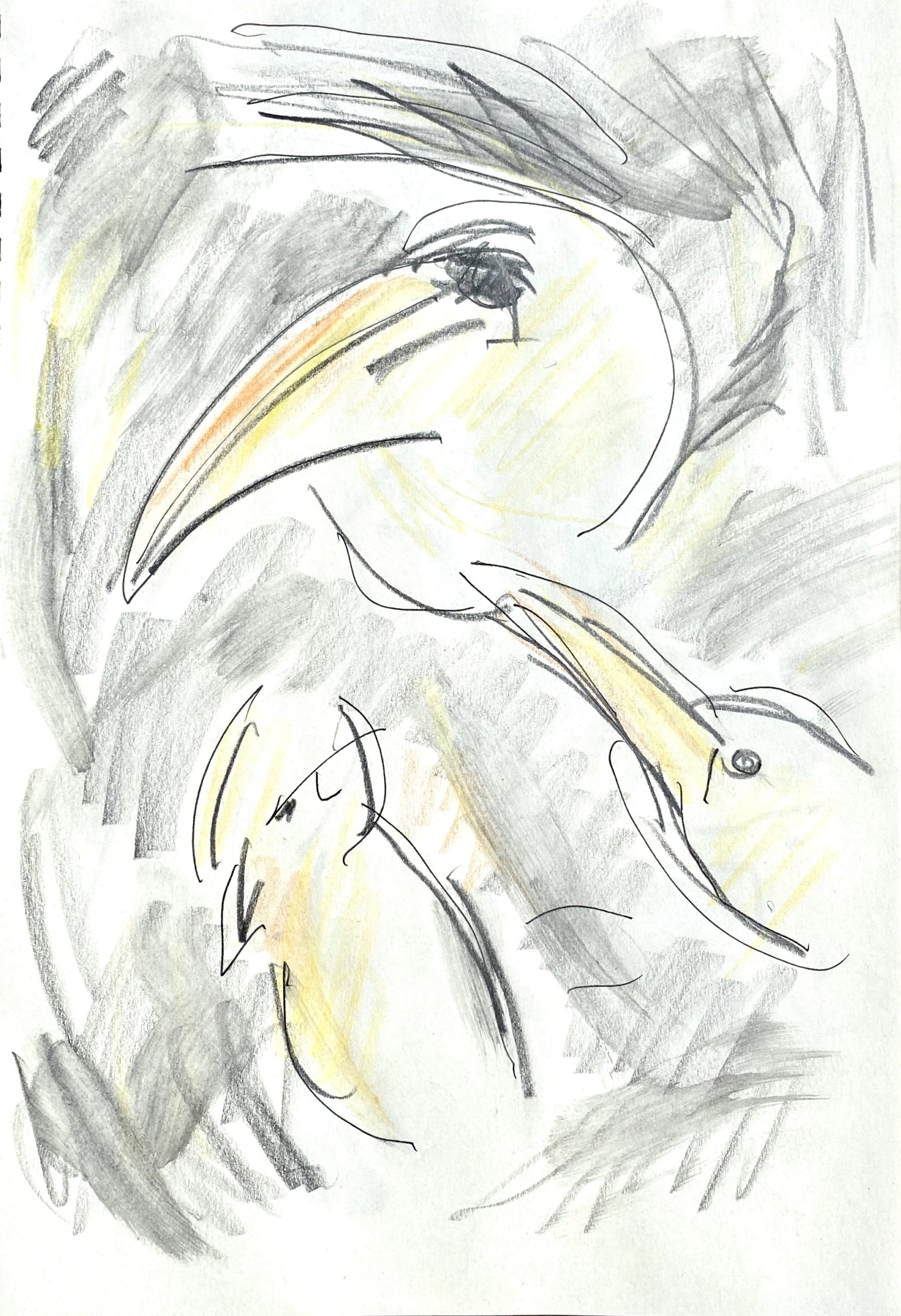 yellow and gray birds