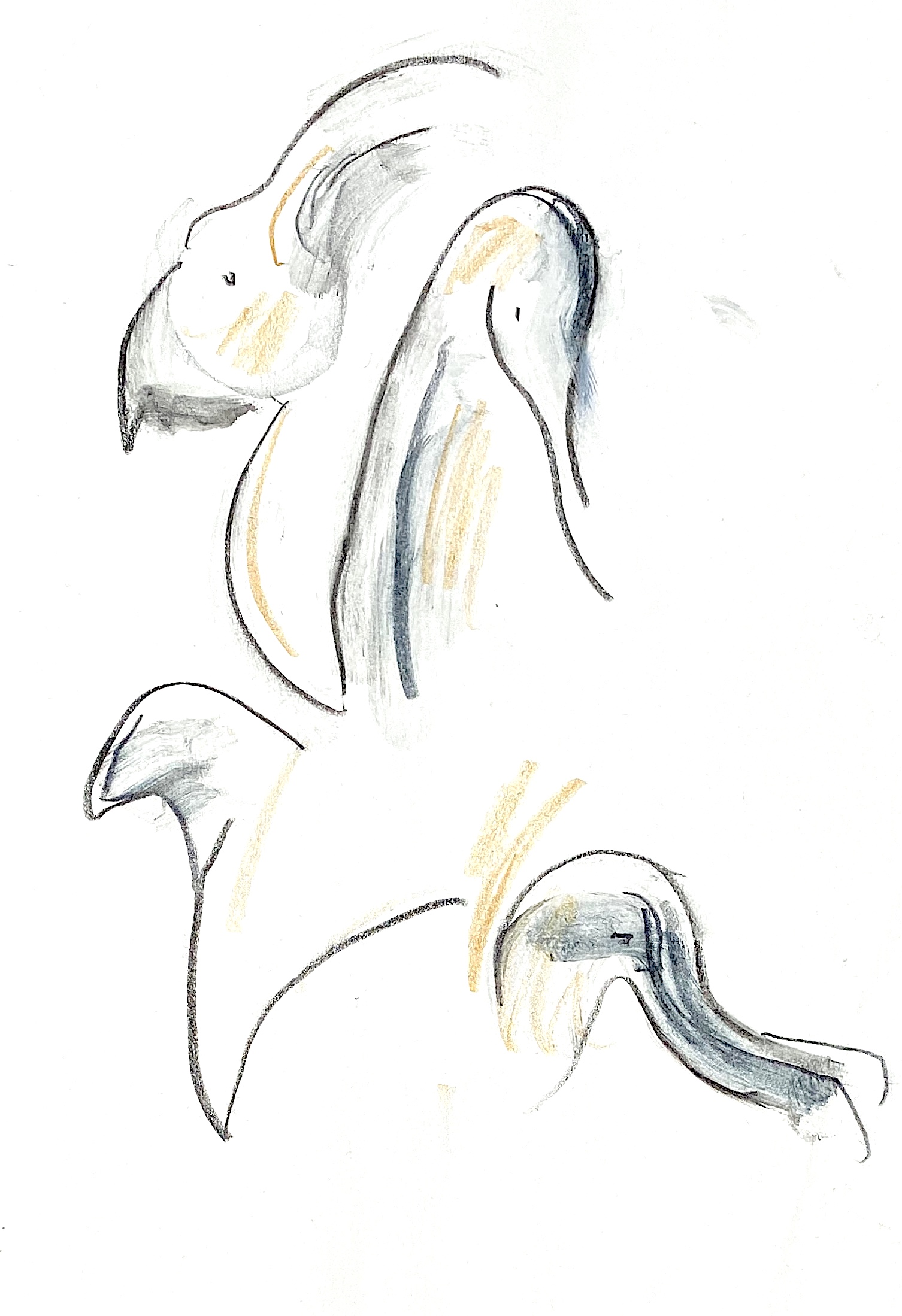 yellow birds