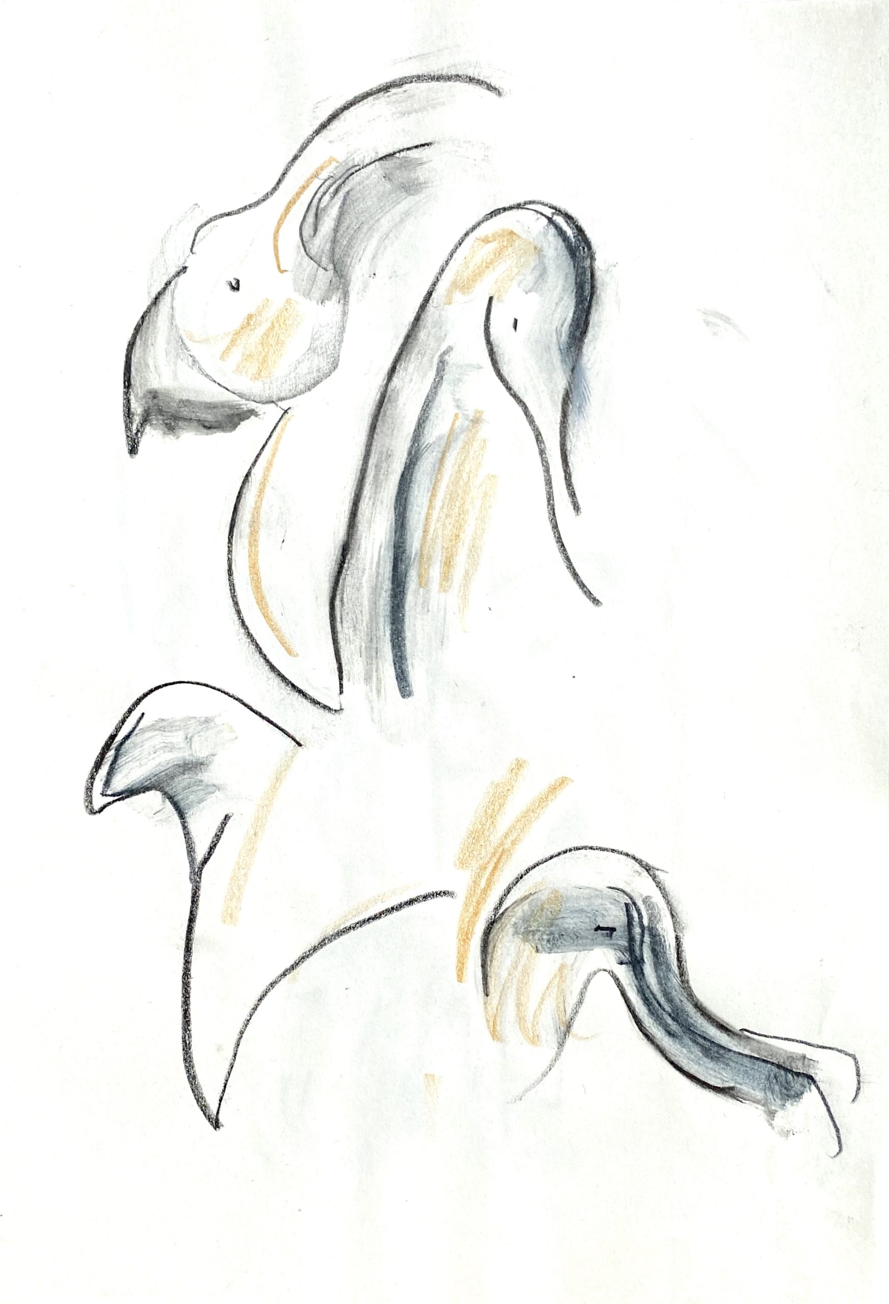 yellow birds